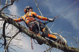 A Beginner's Guide to Selecting Essential Parts for your Tree Climbing Gear  (Infographic) - U.S. Rigging