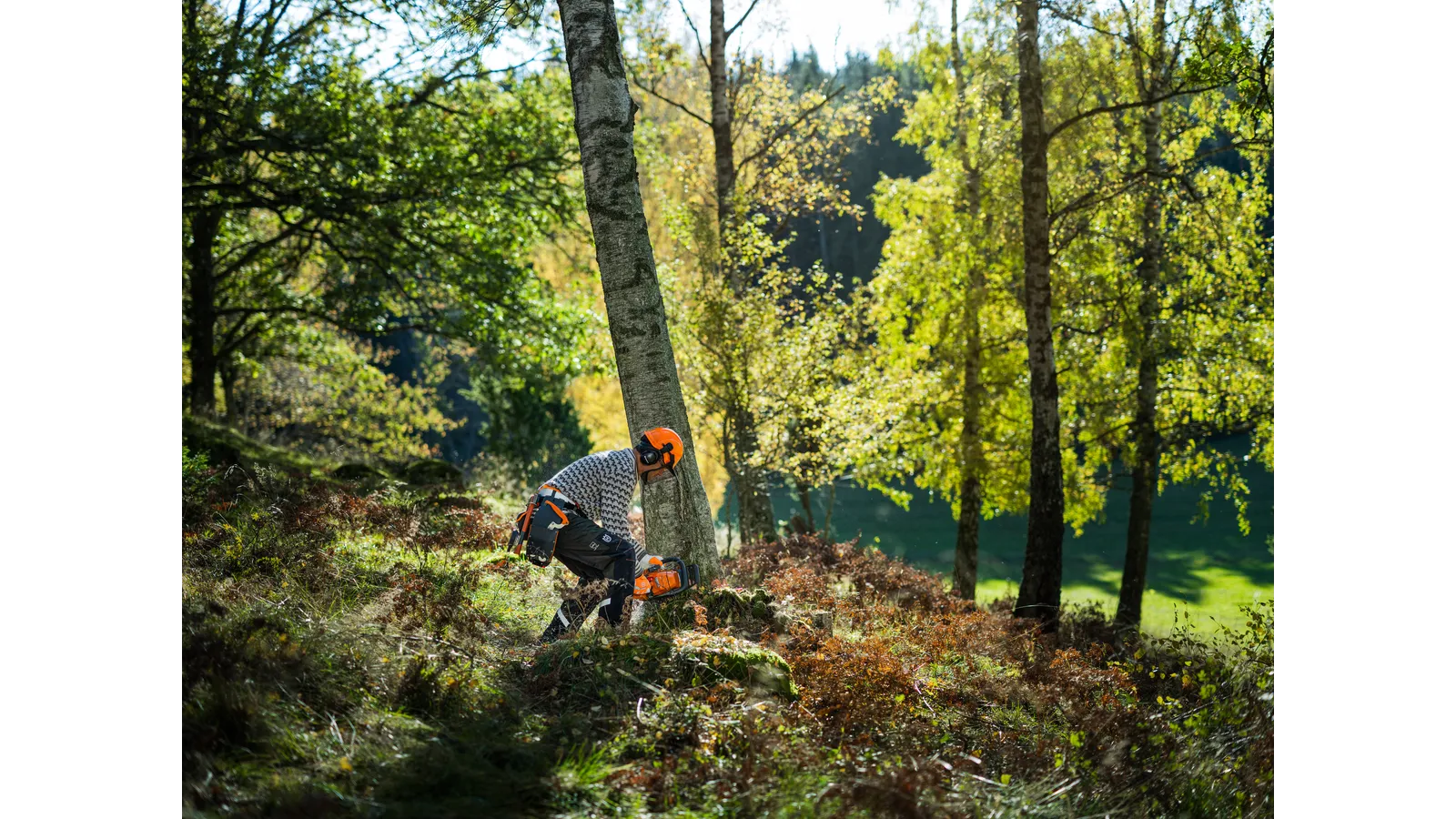 Husqvarna 450S medžių kirtimas
