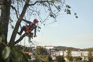 Chainsaw T535i XP and arborist trousers