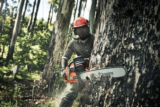 Chainsaw_SouthAfrica