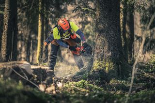 Logger with Chainsaw 560 XP