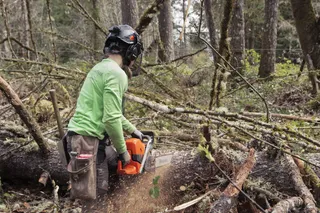Chainsaw 585 Durable and fit for heavy duty challenges