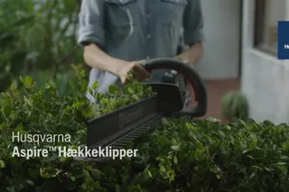 Aspire Hedge Trimmer Hybrid 16x9 DK
