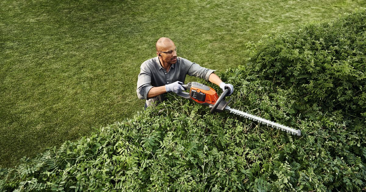 Buying a hedge trimmer? Find the best for you Husqvarna UK