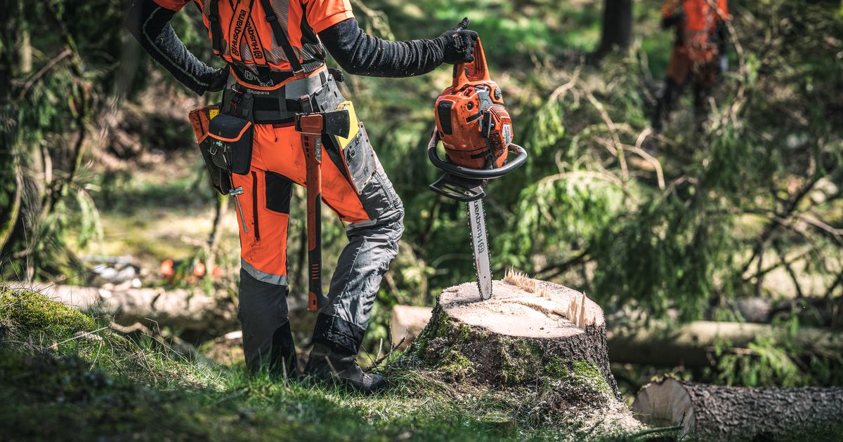 Learn About Husqvarna Professional Chainsaws | Husqvarna US